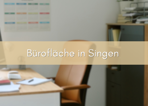 Singen (Hohentwiel) Büros, Büroräume, Büroflächen 
