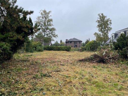 Blick zur Straße.jpg