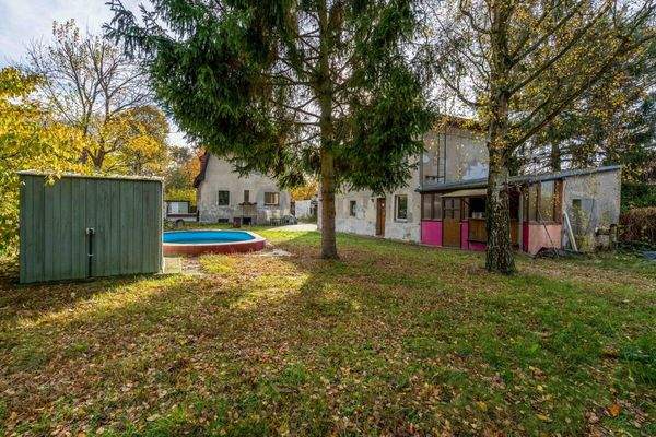 Pool & Freizeithaus am Waldrand