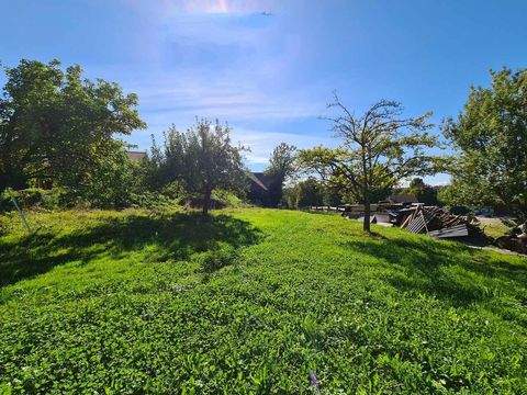 Hörbranz Grundstücke, Hörbranz Grundstück kaufen