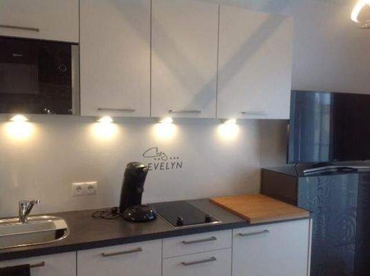 Küchenzeile mit Geschirrspüler