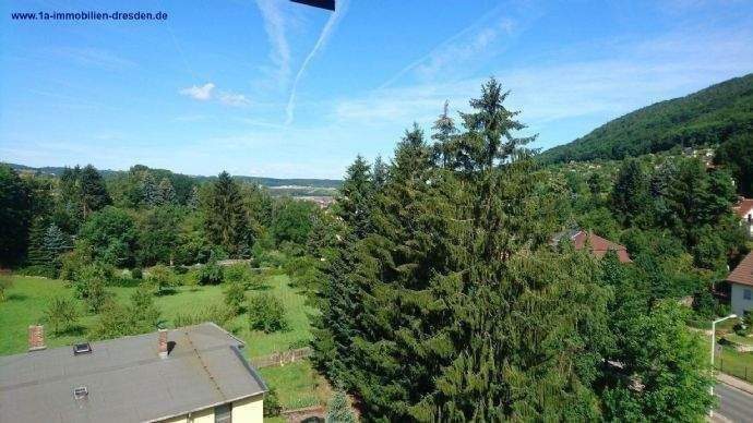 Ausblick aus der Wohnung Bild 1