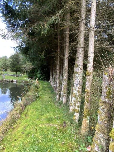 Viechtach Renditeobjekte, Mehrfamilienhäuser, Geschäftshäuser, Kapitalanlage