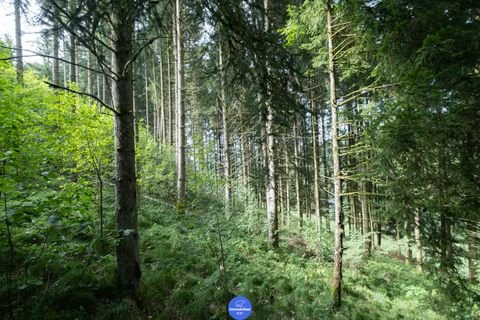 Haibach ob der Donau Bauernhöfe, Landwirtschaft, Haibach ob der Donau Forstwirtschaft