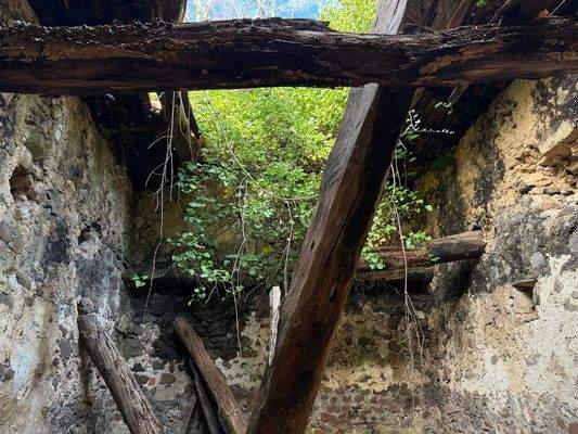 12C91C81-2245-4F4A-8D32-E7927CFEACA8_1_102_o