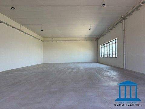 Theresienfeld Halle, Theresienfeld Hallenfläche