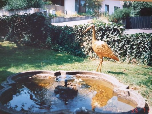 Bild 16