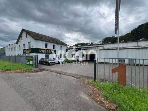 Engelskirchen Halle, Engelskirchen Hallenfläche