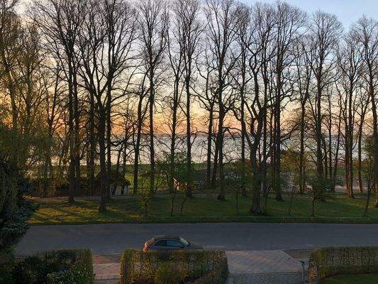 Meerblick im Frühling