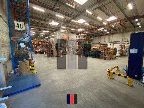 Hamburg Halle, Hamburg Hallenfläche