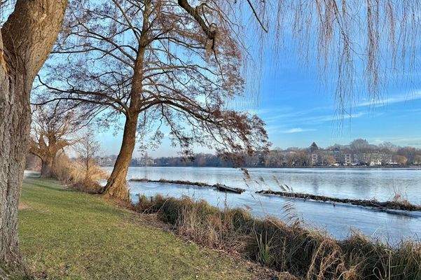 Die Alster ganz nah