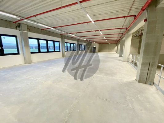 INFOS UNTER: 06171-586000