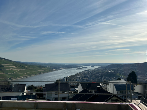 Bingen am Rhein Wohnungen, Bingen am Rhein Wohnung mieten