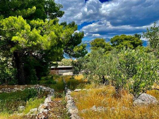 Umgebung mit Meerblick 