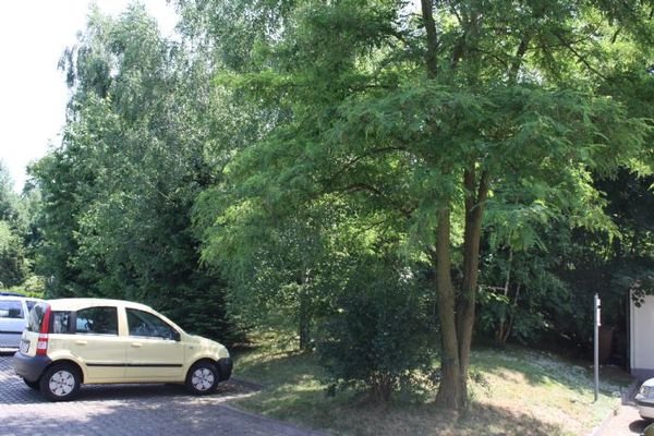 Parkplätze