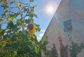 Was versteckt sich da?