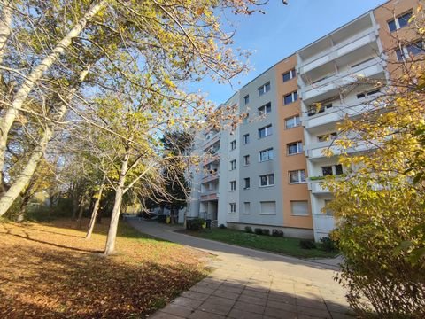 Halle (Saale) Wohnungen, Halle (Saale) Wohnung mieten