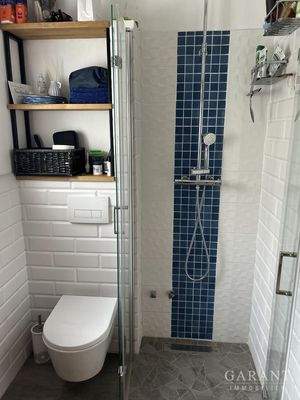Gäste-WC mit Dusche im EG