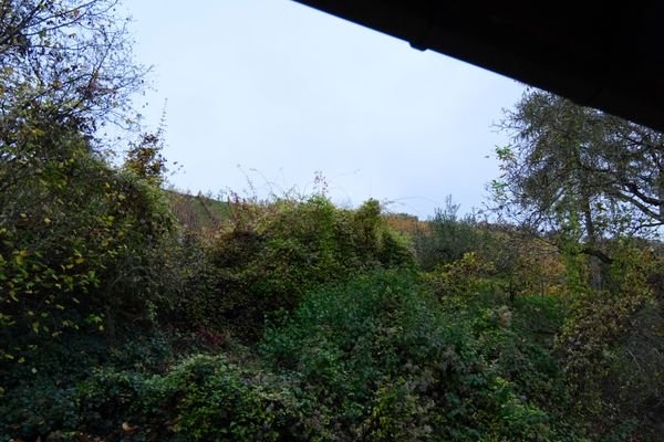 Ausblick in die Weinberge