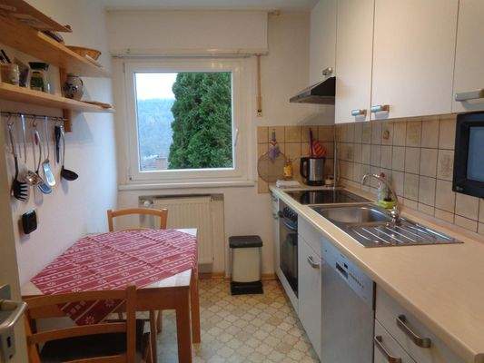 Küche Einliegerwhg.