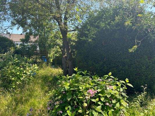 Foto 07.07.23, 12 45 21