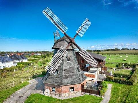 Ostseebad Kühlungsborn Wohnungen, Ostseebad Kühlungsborn Wohnung kaufen