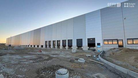 Bernolakovo Halle, Bernolakovo Hallenfläche