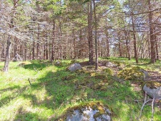 Nova Scotia - Grover?s Point - Wunderschönes Uferg