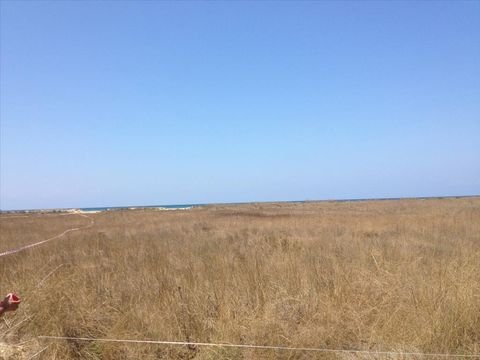Westpeloponnes Bauernhöfe, Landwirtschaft, Westpeloponnes Forstwirtschaft