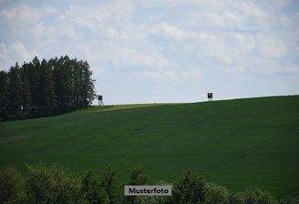 Keine Originalbilder