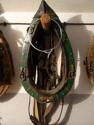 Bild17