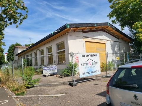 Freiburg im Breisgau Halle, Freiburg im Breisgau Hallenfläche