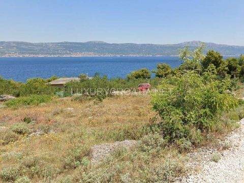 Bacvice - Firule Bauernhöfe, Landwirtschaft, Bacvice - Firule Forstwirtschaft