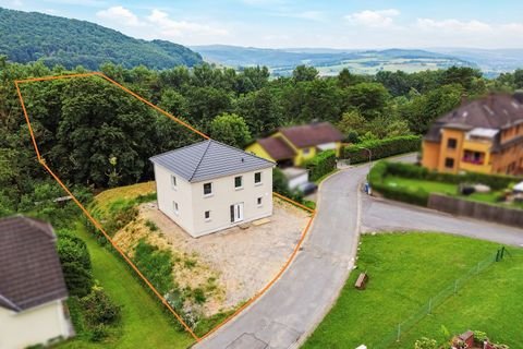 Schlüchtern Häuser, Schlüchtern Haus kaufen