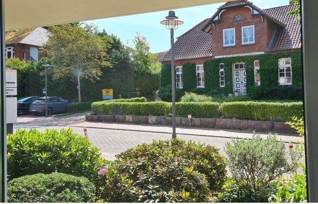 Blick Herrenstr. + Vorgarten