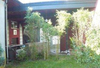 Garten&Zufahrt im Hintergrund