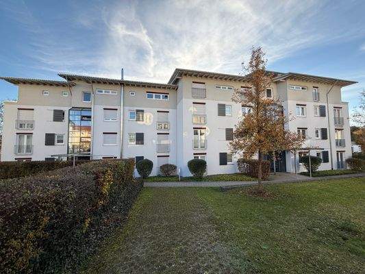 2025-11-07 15.21.59.JPG