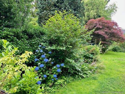 Gartenimpressionen