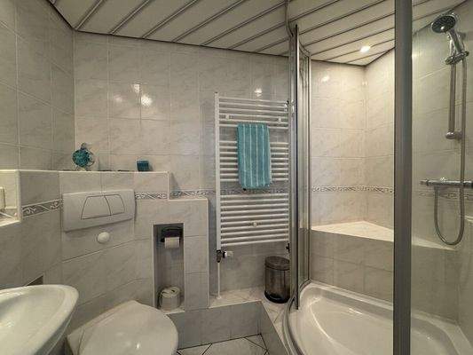 Duschbad Untergeschoss