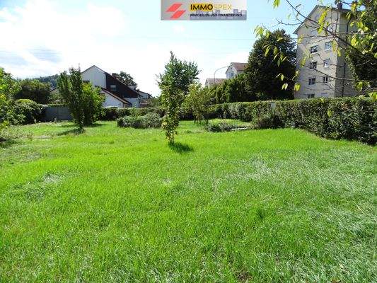 Grundstück in Lörrach 3.jpg