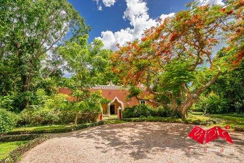 Merida Häuser, Merida Haus kaufen