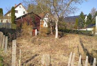 IMG_20240304_095959