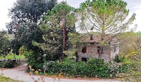 Rapolano Terme Häuser, Rapolano Terme Haus kaufen