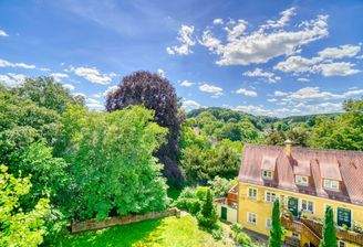 Ausblick in Schloßpark