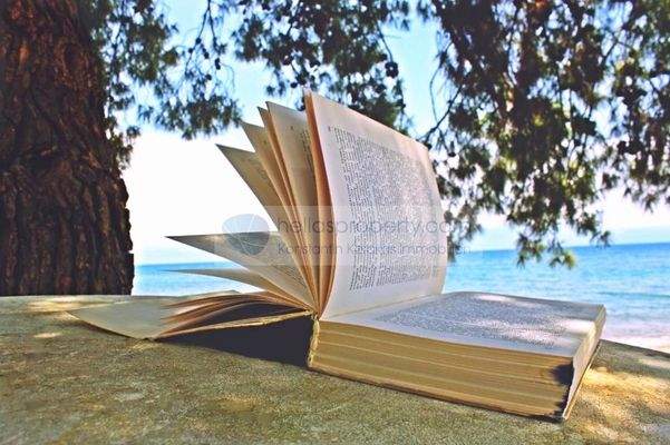 4 Spanner am Meer (11)