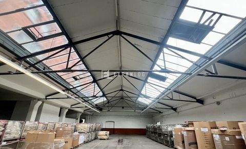 Solingen Halle, Solingen Hallenfläche