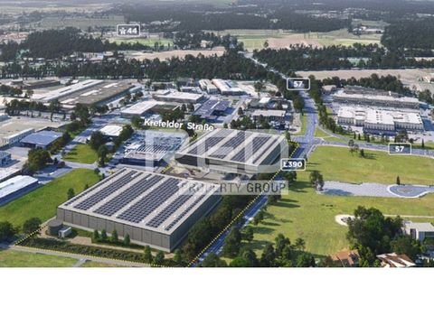 Mönchengladbach Halle, Mönchengladbach Hallenfläche