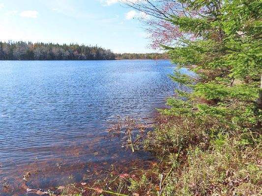 Cape Breton - 3,1 Hektar großes See-Ufergrundstück