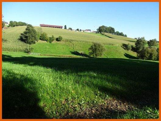 Aussicht arrond. Wiesen