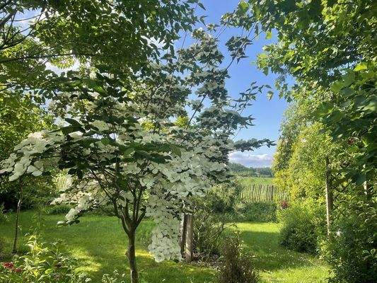 Impressionen Gartenanlage